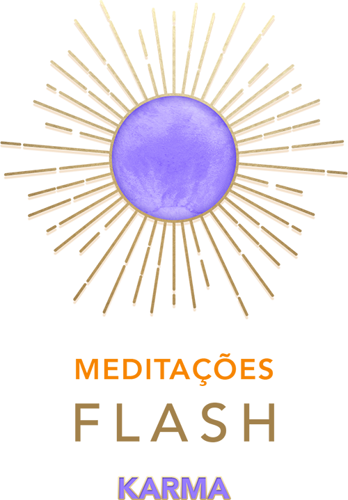 Logotipo Flash Karma